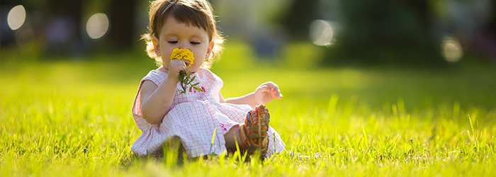 Home > Blog > Garden Living > Make your garden safe for your toddler