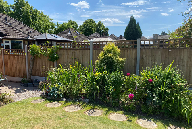 1 foot trellis on top of brand new vertical lap fence panels