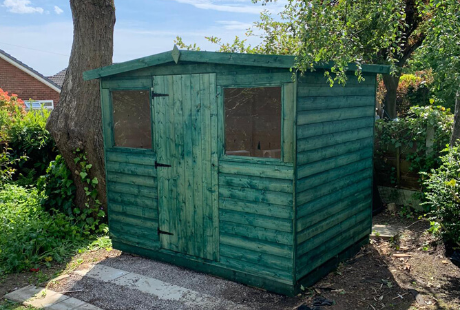 8ft x 6ft dart shed treated in Holly Green