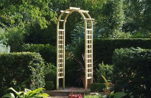 Thumbnail image for Rose Arch