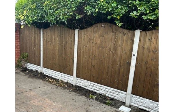 Tongue & Groove Omega Top Fence Panel (Pressure Treated)